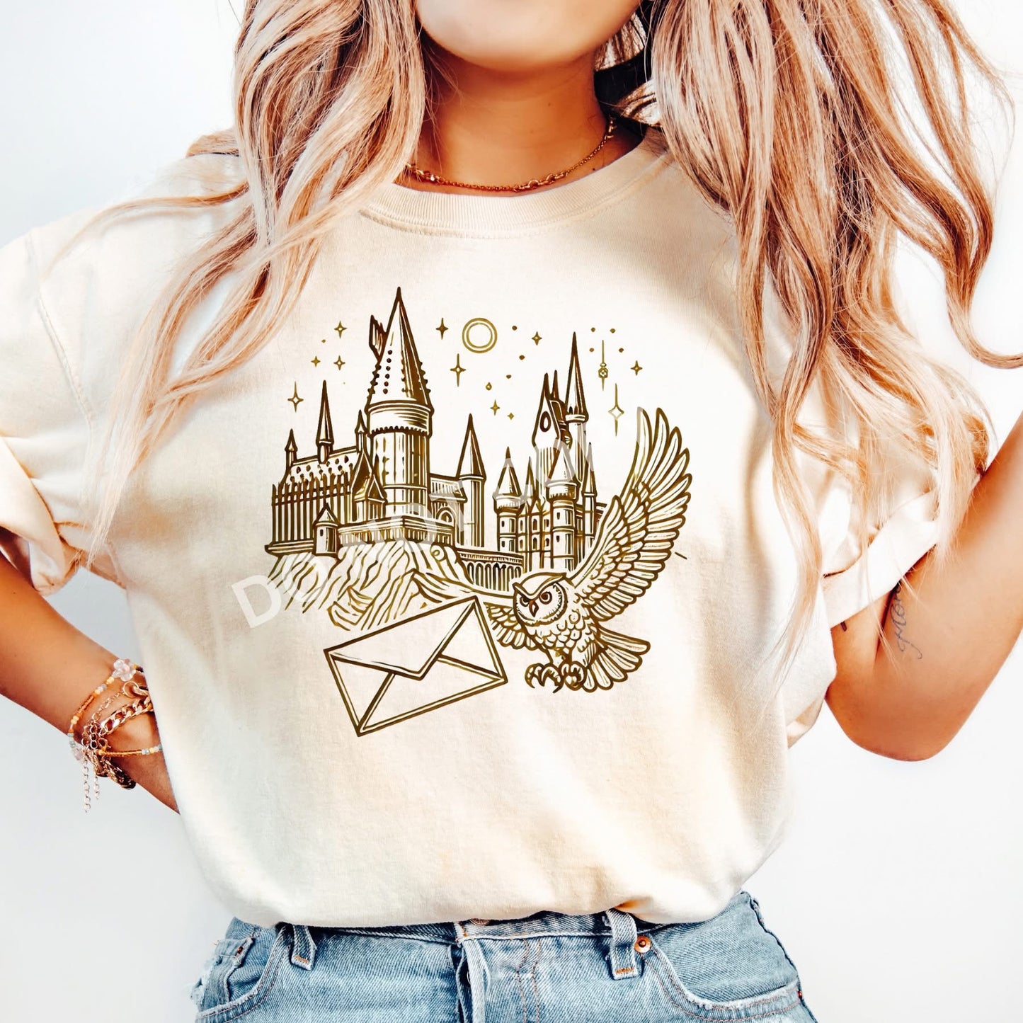 Owl and Castle